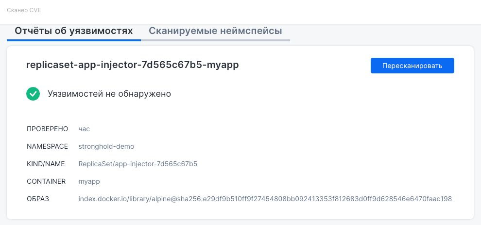 Интерфейс подраздела «Сканер CVE»
