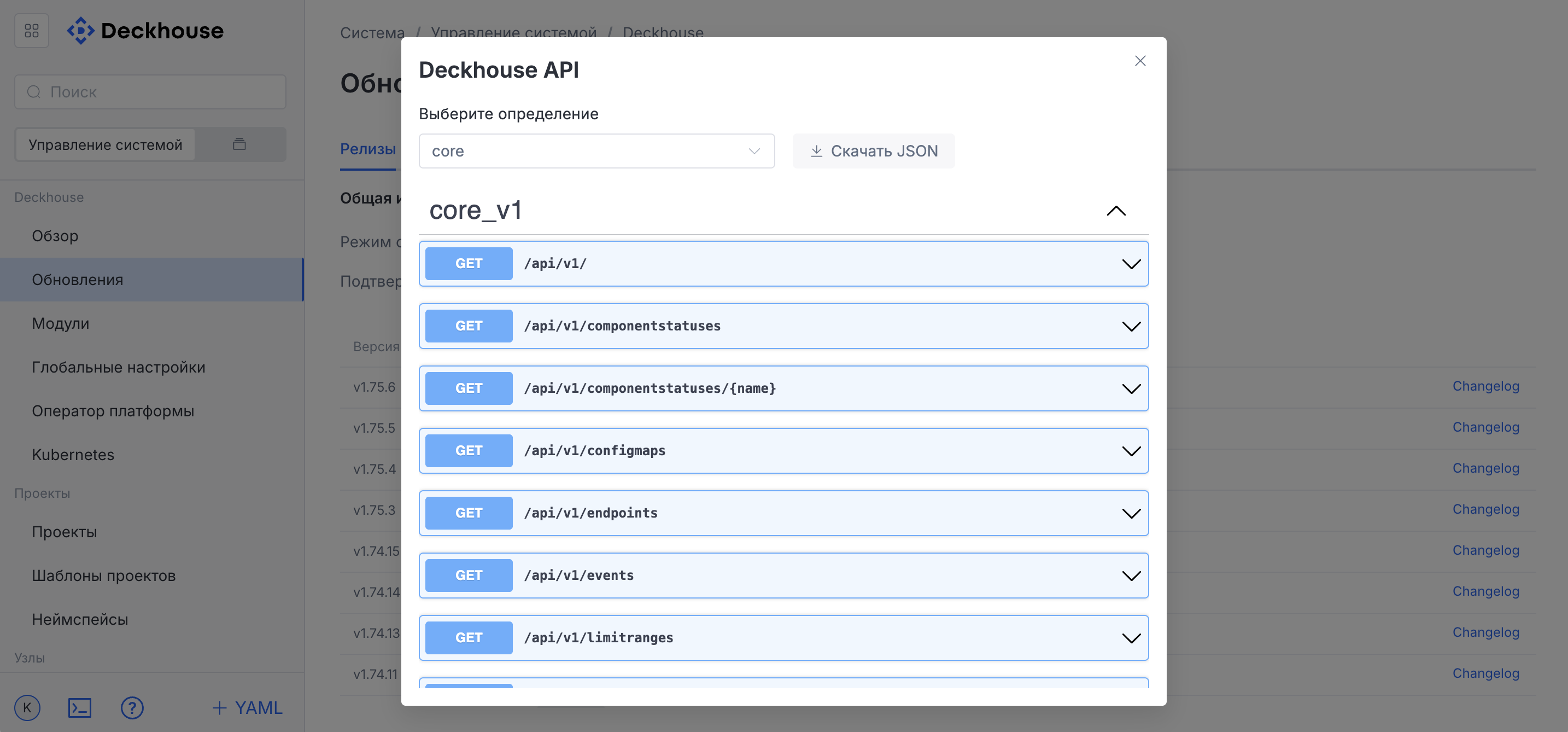 Окно с общей информацией об API